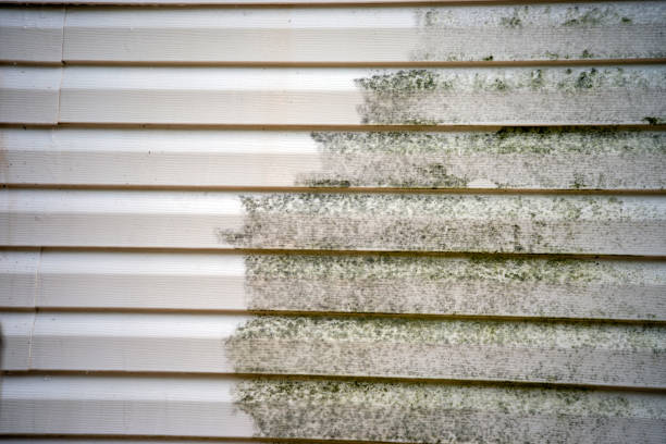 Best Siding Repair  in Kellogg, ID