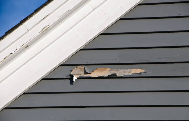 Affordable Siding Repair and Maintenance Services in Kellogg, ID